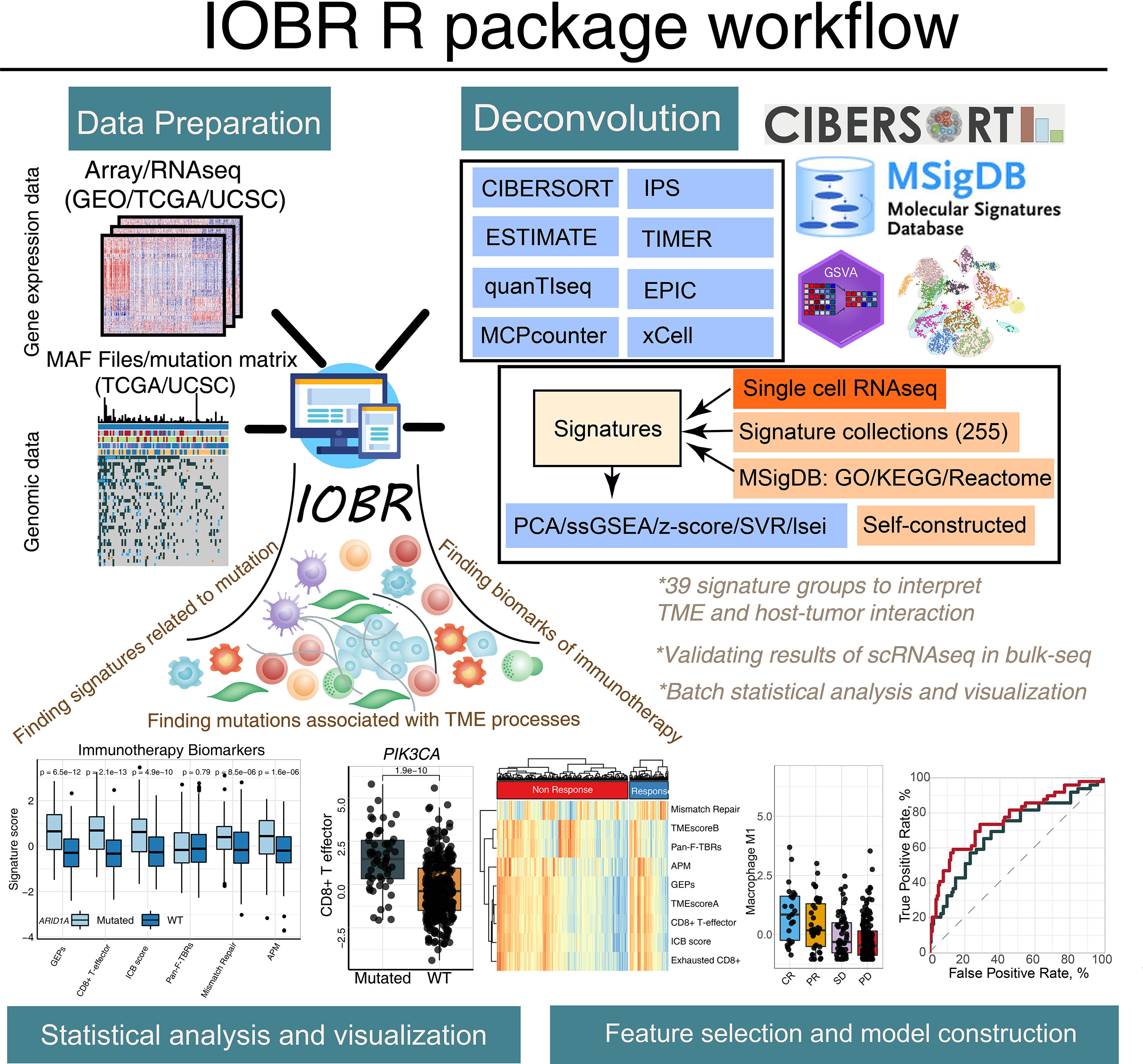IOBR: Multi-Omics Immuno-Oncology Biological Research to Decode Tumor Microenvironment and Signatures