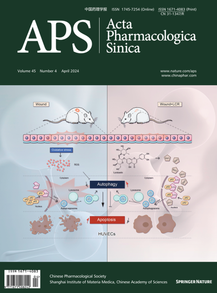 Lonicerin promotes wound healing in diabetic rats by enhancing blood vessel regeneration through Sirt1-mediated autophagy