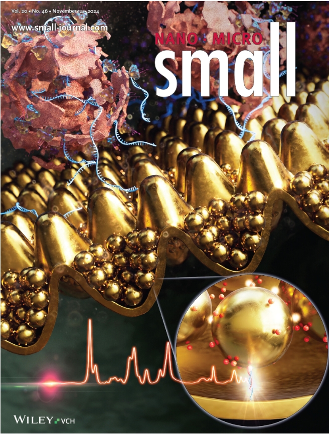 The Core-Shell Microneedle with Probiotic Extracellular Vesicles for Infected Wound Healing and Microbial Homeostasis Restoration