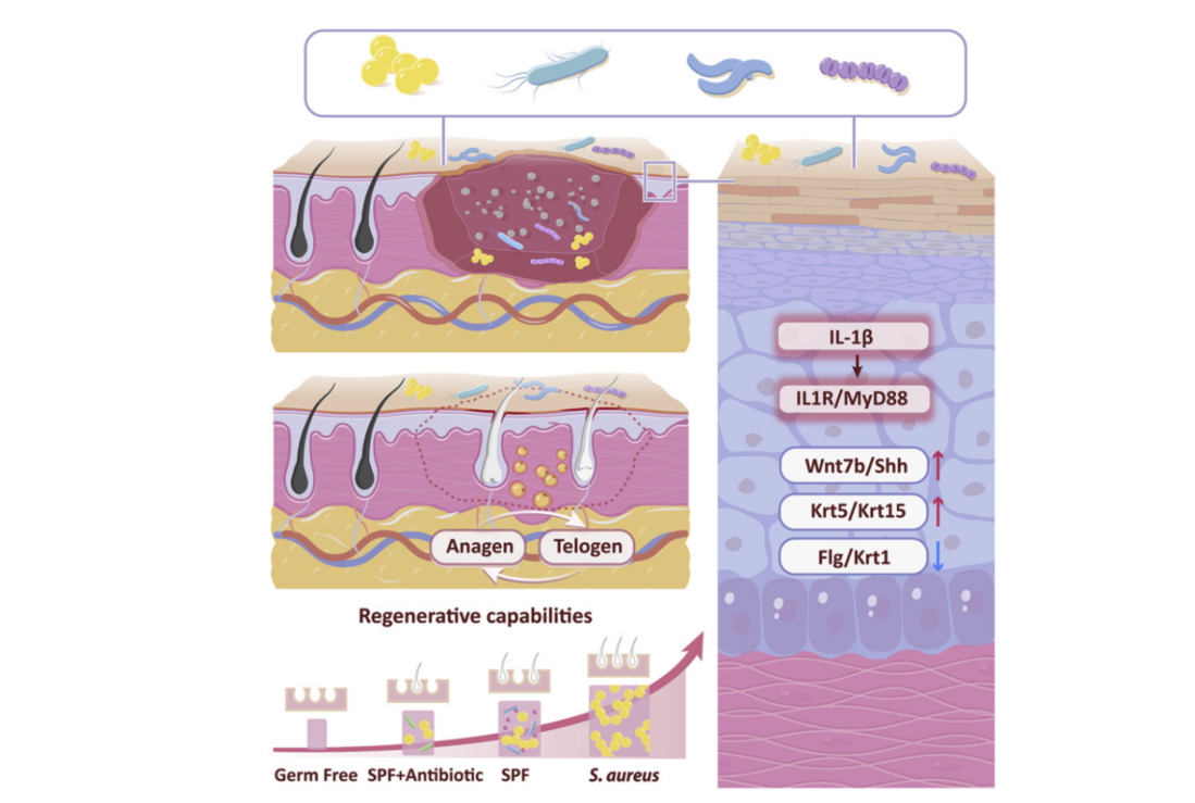 SMOOTH Lab Picture 2
