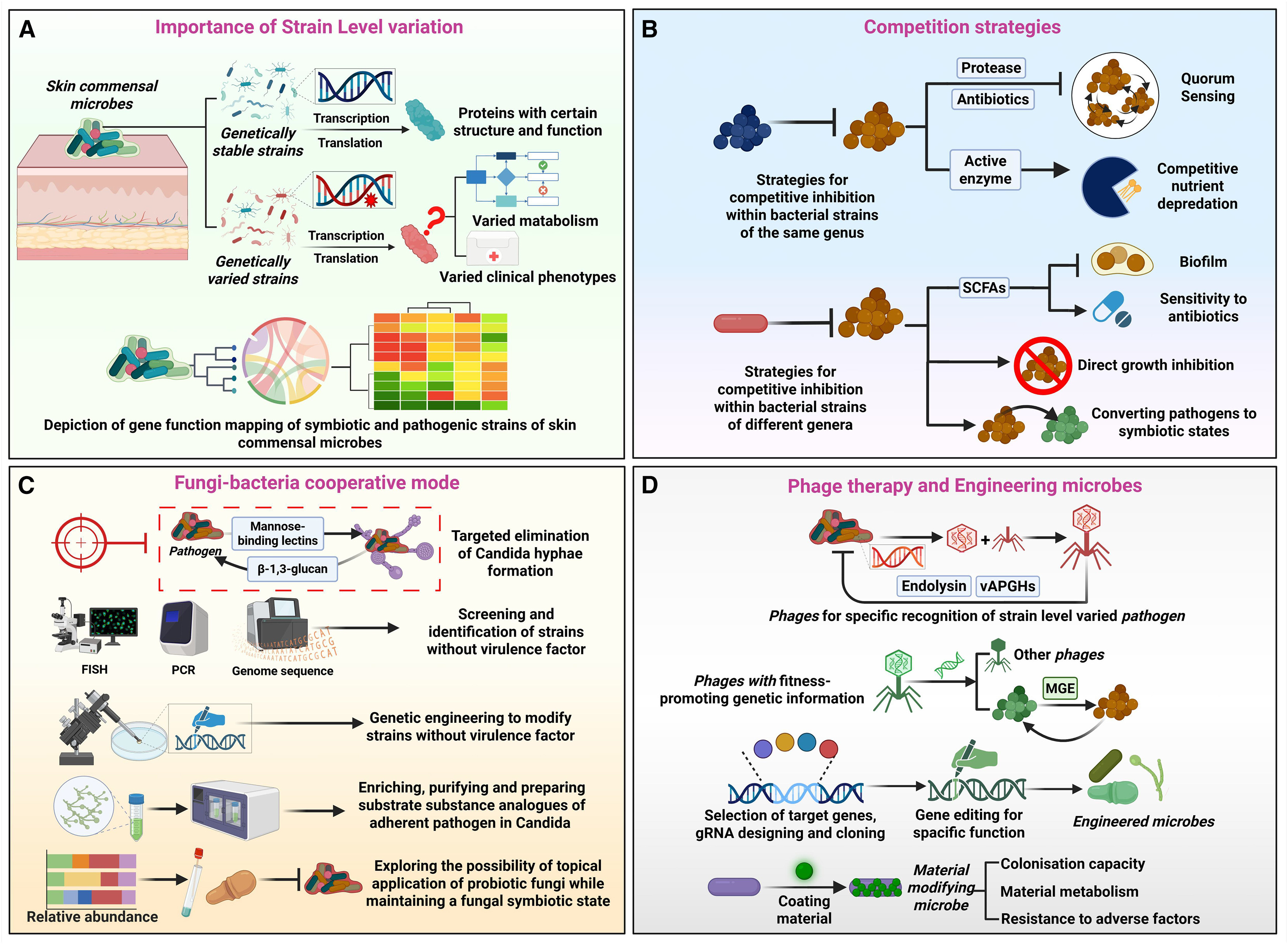 SMOOTH Lab Picture 3